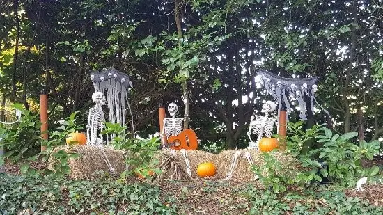 Clonfert Pet Farm Halloween Event