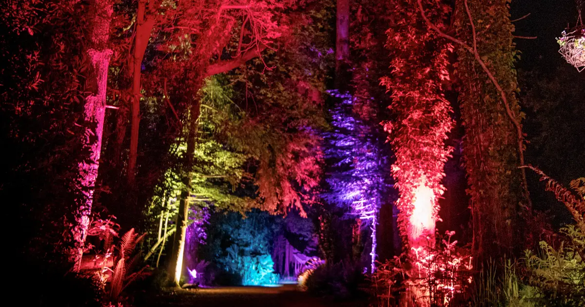 Land of Light at The Irish National Stud & Gardens