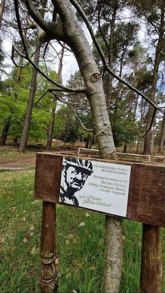 Tree planted in memory of Richie Byrne, a mountain biking legend