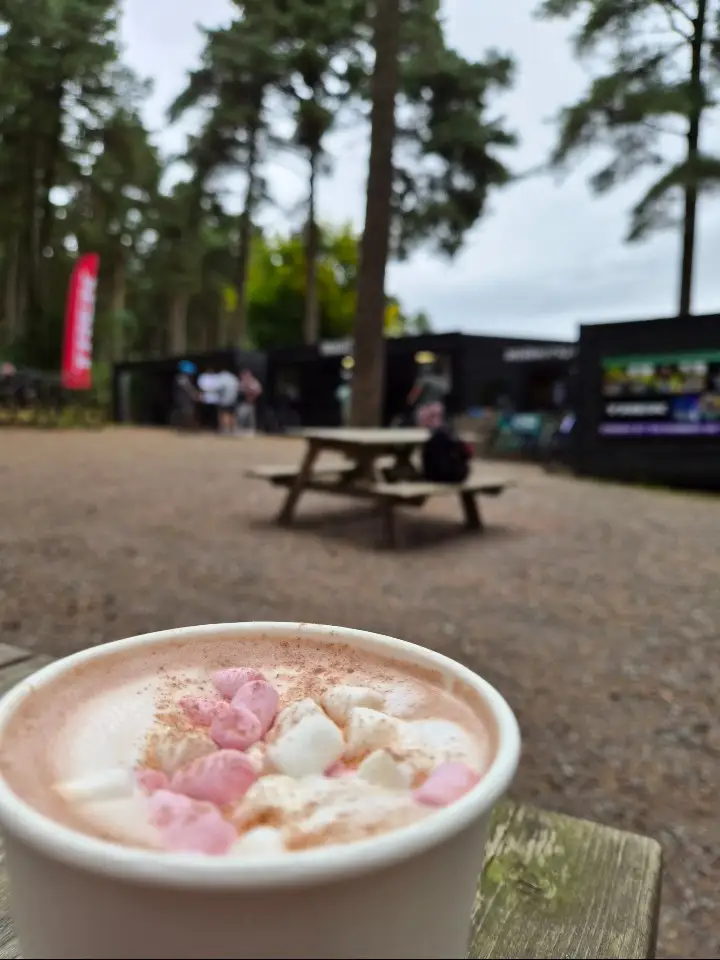 Ballinastoe Mountain Bike Trails