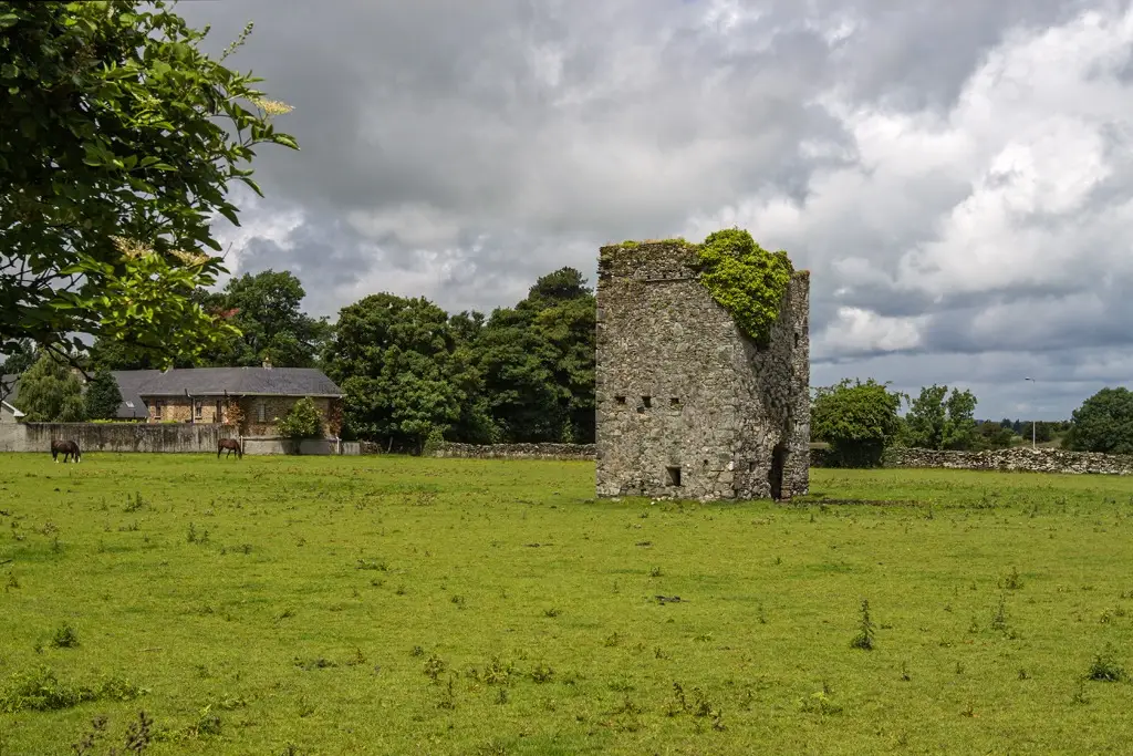Ruined stone tower house standing in a field at Jigginstown near Naas, County Kildare.