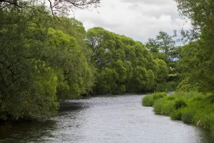 Liffey Linear Park
