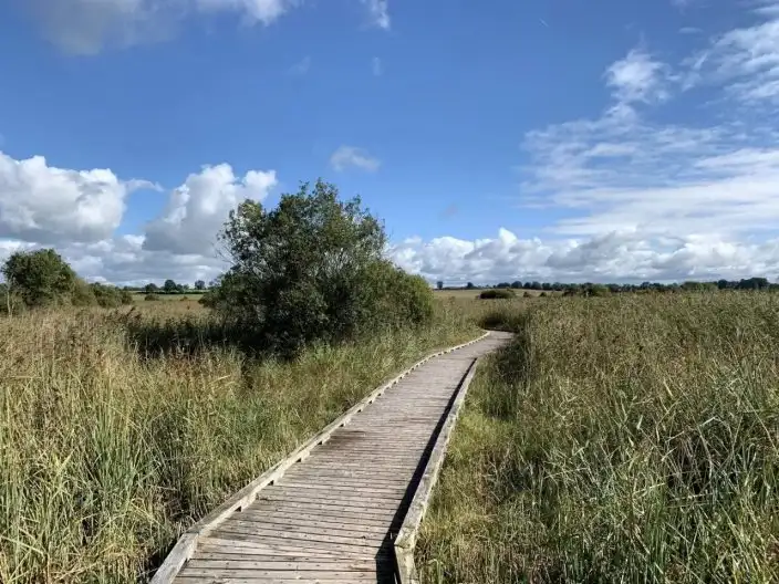 Pollardstown Fen