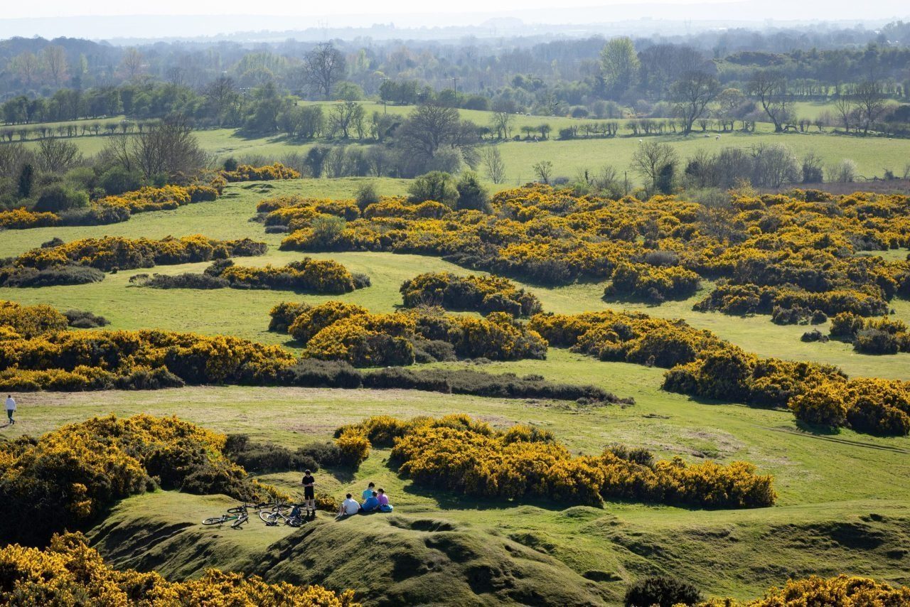 Curragh Rocks The Curragh Plains — Newbridge Town