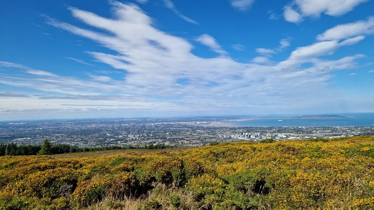 Ticknock Mountain Bike Trails