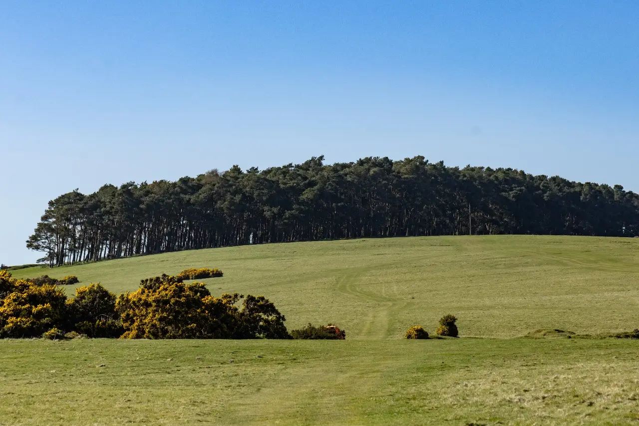 Curragh Plains Trail