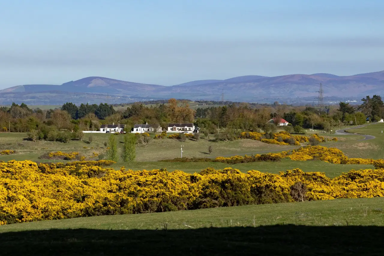 Curragh Plains Trail