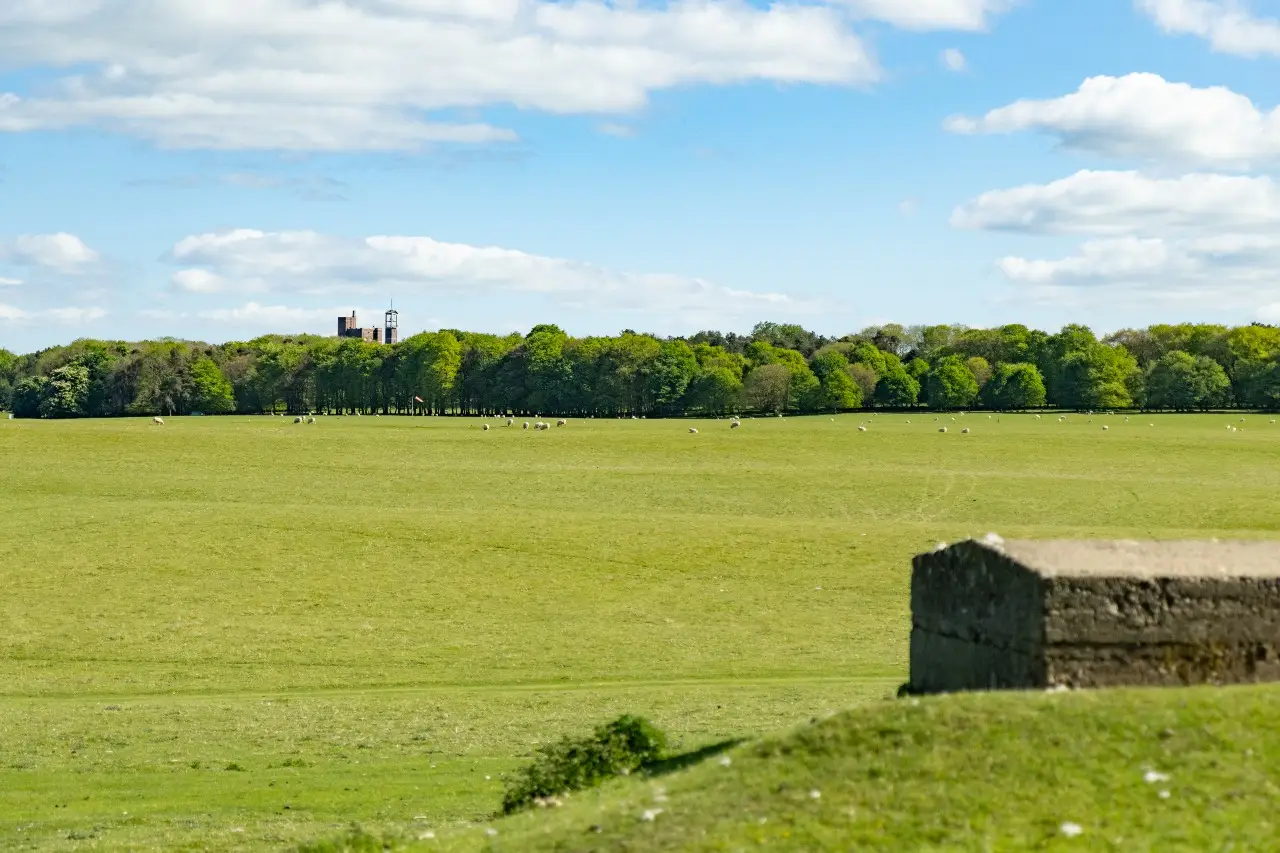 Curragh Plains Trail